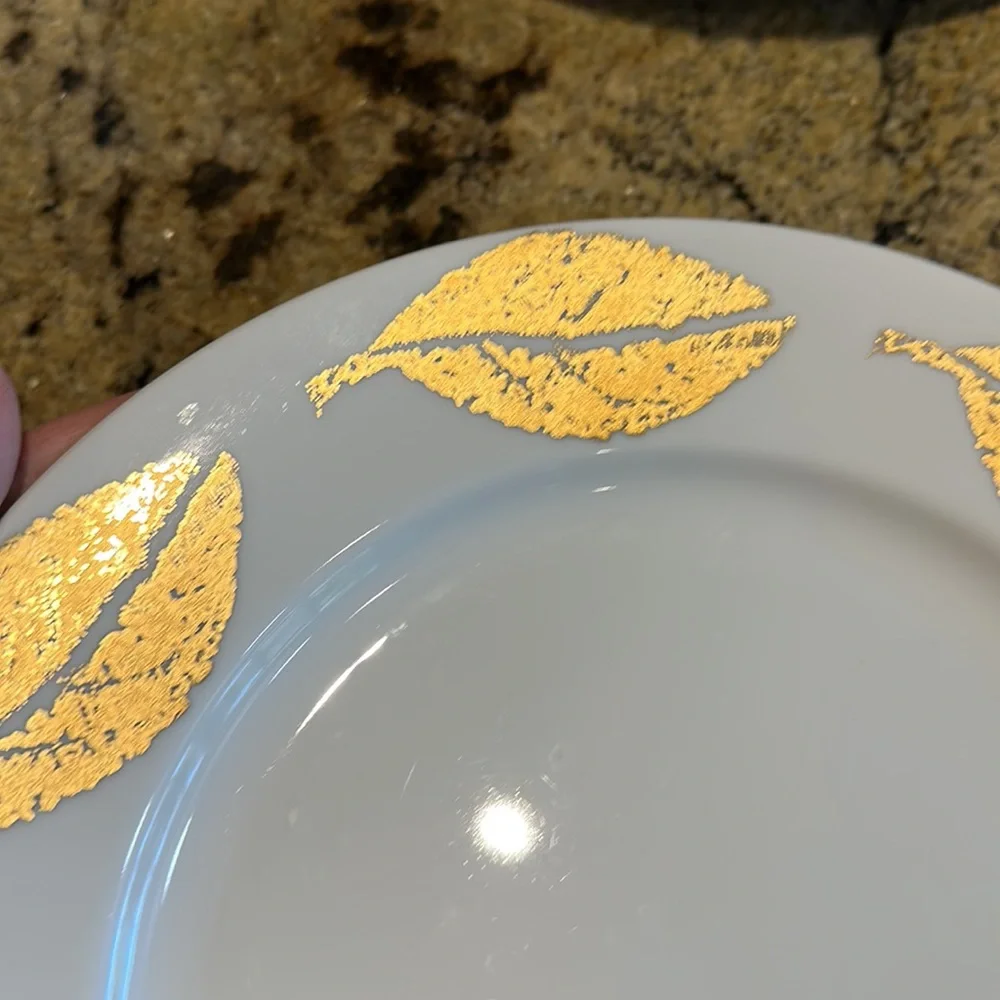 Set of 2 crate & barrel dinner plates
